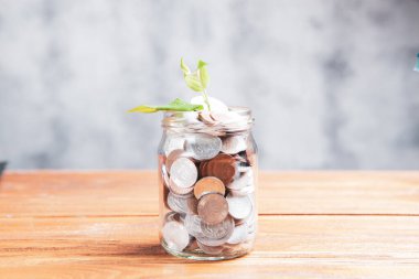 Tasarruf bankasında küçük bir filiz.