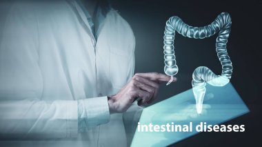 İnsan bağırsaklarının radyografisi holografik tarama projeksiyonu 3D