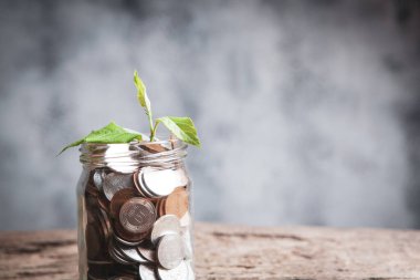 Büyümeyi temsil eden bitkilerle dolu bozuk para yığını