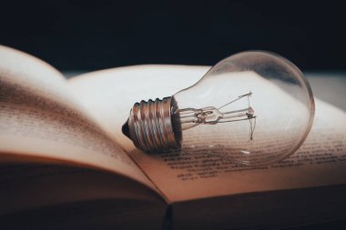 Bilgi ve bilgelik, kitaptaki ampul