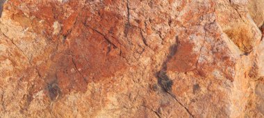 Arkaplan olarak turuncu yosunlu kaya