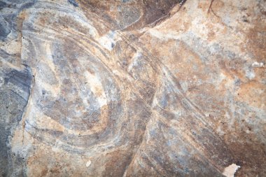 Arkaplan olarak renkli yosunlu gri kaya