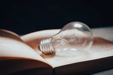 Bilgi ve bilgelik, kitaptaki ampul