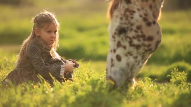 Okouzlující dívka s krásnou strakaté koně — Stock video