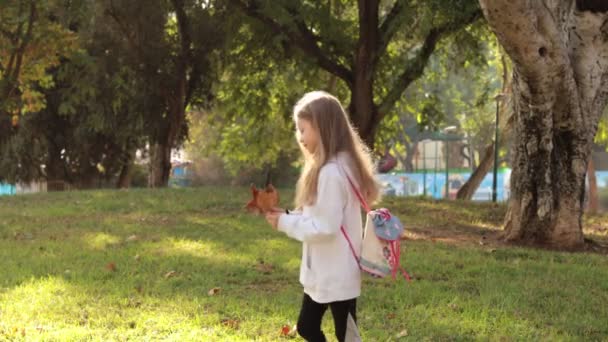 Cute girl zbieranie jesienne liście w parku — Wideo stockowe