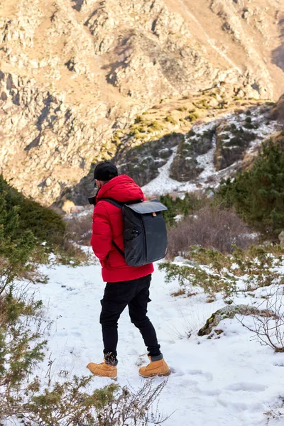 背着背包的年轻人看到山顶上的景色.自由、快乐、旅行和度假概念、户外活动。向后看的人 — 图库照片