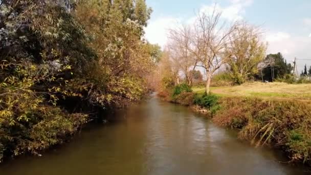 Water flows in a small waterfall in the lower Hermon River that flows in northern Israel — Video Stock