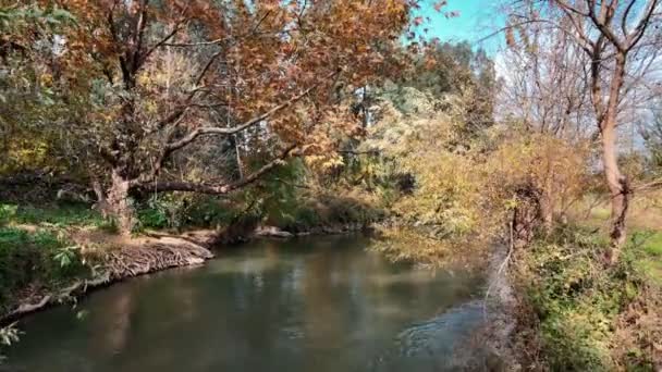 View of wading pools, and trees in fall foliage, in Snir Stream Nature Reserve, Northern Israel — Stockvideo