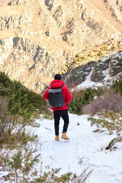 Young man with backpack see view on top mountain. Freedom, happiness, travel and vacations concept, outdoor activities — Fotografia de Stock