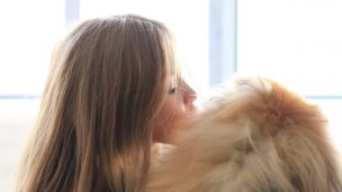 Tatlı çocuk, köpek arkadaşıyla pencerede oynuyor. Yüksek kalite 4k görüntü