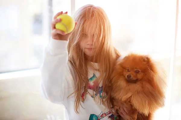 Criança bonita brincando com seu amigo cão na janela. foco suave — Fotografia de Stock