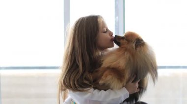 Genç kız Pomeranya köpeğine sevgiyle sarılıyor. Evcil hayvanlı köpek sever.