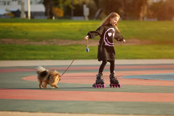 Девушка катается на роликах выгуливая собаку в парке — стоковое фото