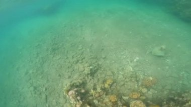 Dalgıçlar, mercanlar ve diğer deniz türleriyle birlikte su altındaki direklere dalıyorlar. Tuzlu suda horlama stili