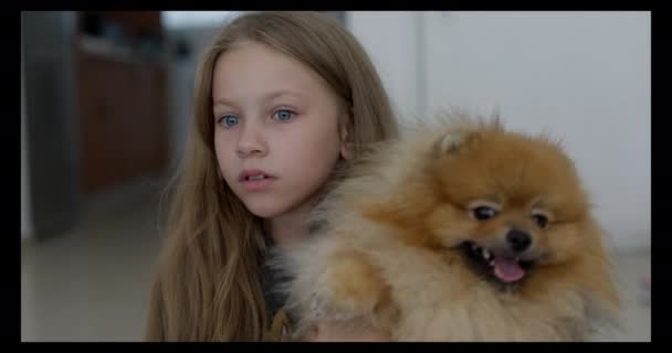 Blonde Headed Little Girl Hugging Taking Care Her Pet Pomeranian — Stok video