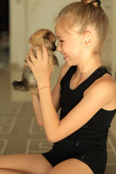Cãozinho Adorável Pomeranian Nas Mãos Dos Proprietários Retrato Pouco Foto — Fotografia de Stock