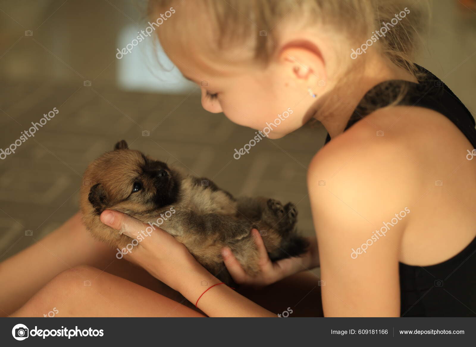 Baby A Little Puppy Dog Small Puppy Looking While Girl Holding
