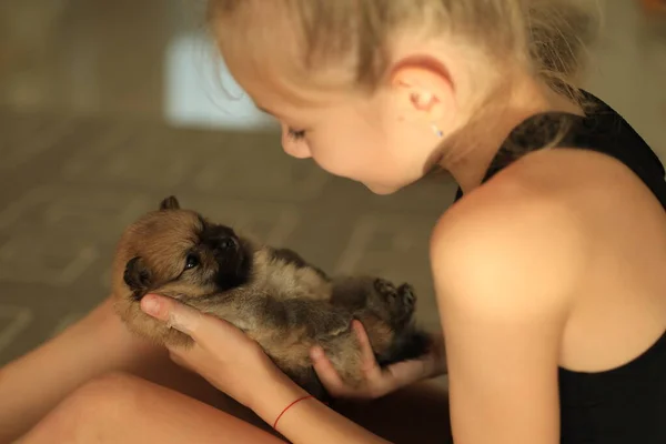 Kleiner Welpe Schaut Auf Während Mädchen Niedlichen Hund Hält Der — Stockfoto