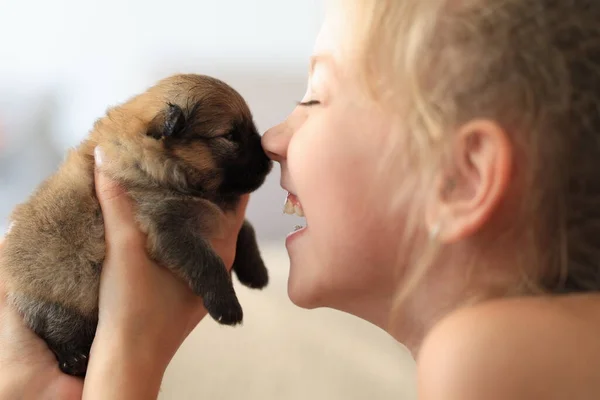 Menina Feliz Beijo Cachorro Foto Alta Qualidade — Fotografia de Stock