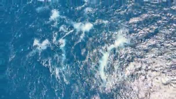 Agitar Oceano Espumante Superfície Água Turquesa Espumante Com Luz Dourada — Vídeo de Stock