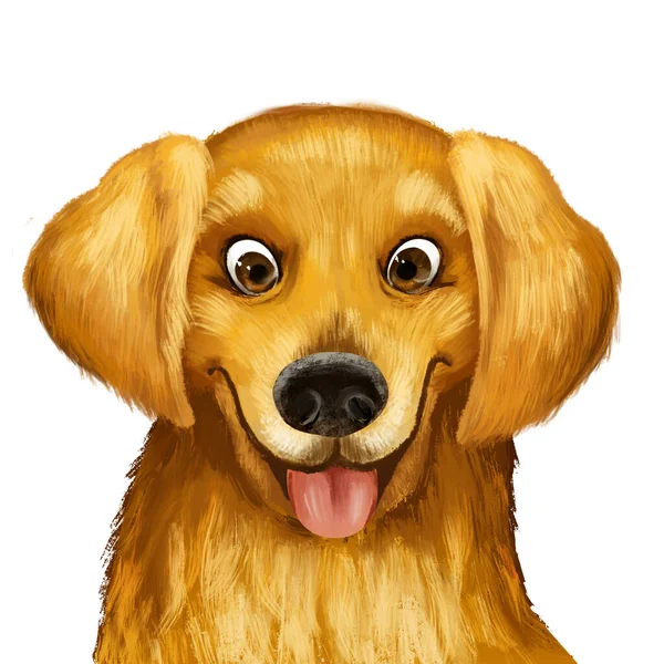 Painted portrait of Golden Retriever — Stock Photo, Image
