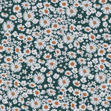 Çiçeksiz desenli papatya çayırı