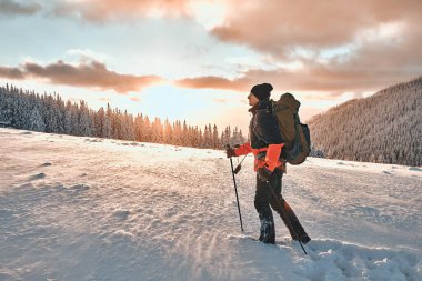 Karlı çam dağlarında yolculuk. Yakışıklı erkek turist dağlarda yürüyor ve güzel manzaranın tadını çıkarıyor. Boşluğu kopyala.
