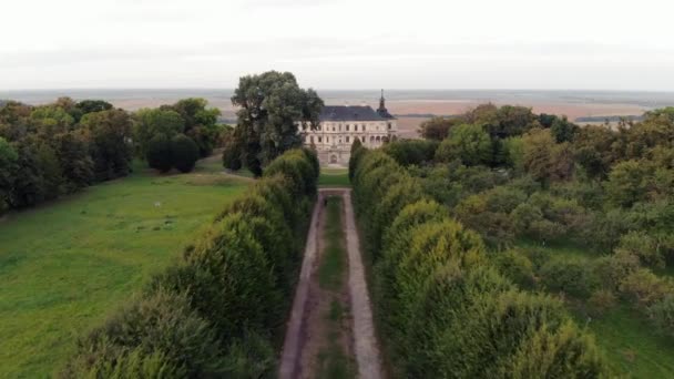 Aerial view of ancient castle. — Stock Video