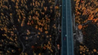 Sonbahar ormanlarında yol manzaralı.