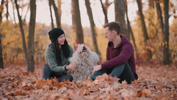 Paar spelen met hond. — Stockvideo