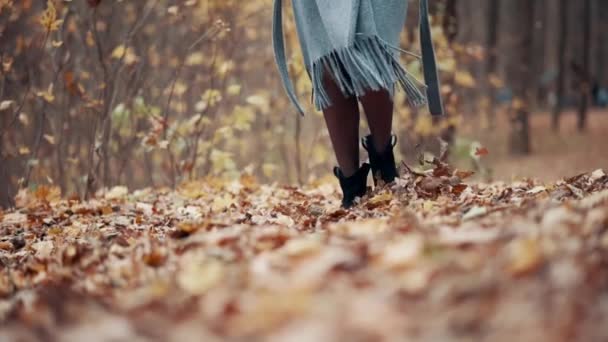 Падшие листья разлетаются под ногами. — стоковое видео
