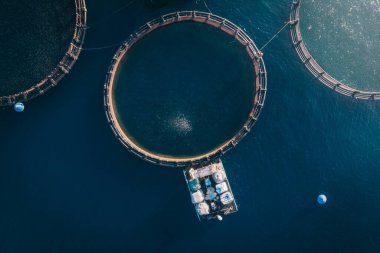 Deniz koyundaki balık çiftliği.