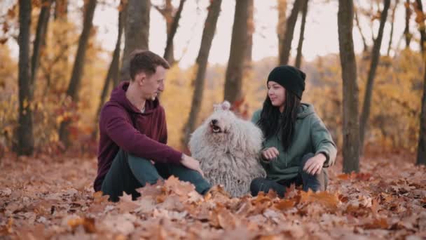 Casal brincando com cão . — Vídeo de Stock