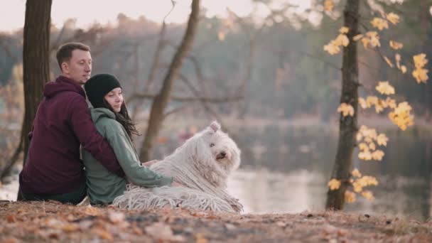 Casal com cão na natureza. — Vídeo de Stock