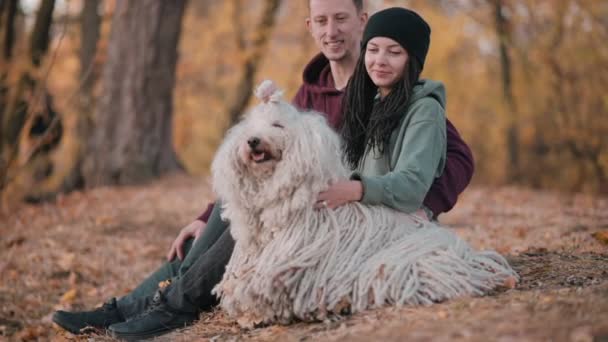 Par spenderar fritid med hund — Stockvideo