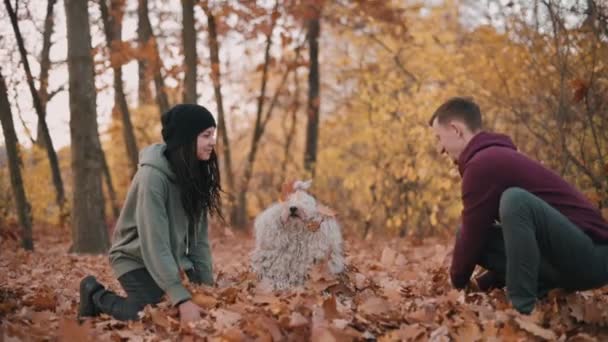 Couple playing with dog. — Stock Video