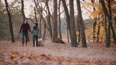 Macar çoban köpeği sahipleriyle yürüyor.