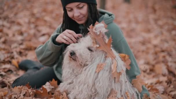 Mulher brincando com cão. — Vídeo de Stock