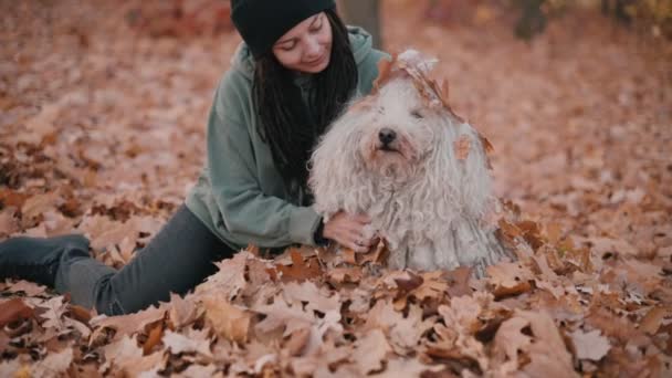 Kvinde leger med hunden. – Stock-video