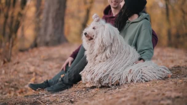 Par spenderar fritid med hund — Stockvideo