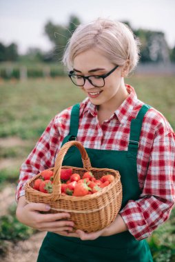 Çiftçi hasat ediyor..