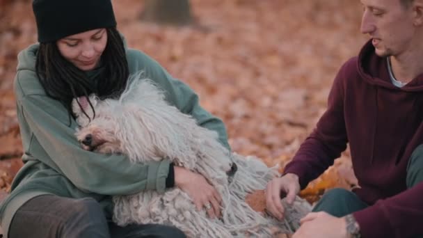 Casal brincando com cão . — Vídeo de Stock