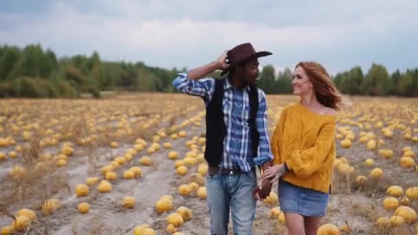 A young couple is walking in a pumpkin field. — Stock Video