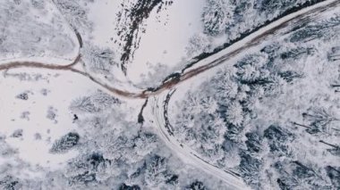 karla kaplı çam ağaçları.
