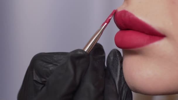 Makeup Artist Applies Lipstick Models Lips Brush Macro Shot Selective — Stockvideo