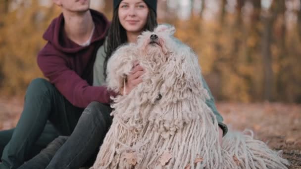夫妻与狗共度闲暇 年轻夫妇坐在落叶上爱抚他们的宠物 匈牙利牧羊犬Buli在自然界中繁殖 — 图库视频影像