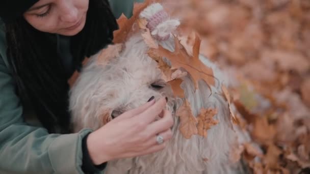 Retrato Jovem Mulher Feliz Seu Cão Puli Raça Pastor Húngaro — Vídeo de Stock