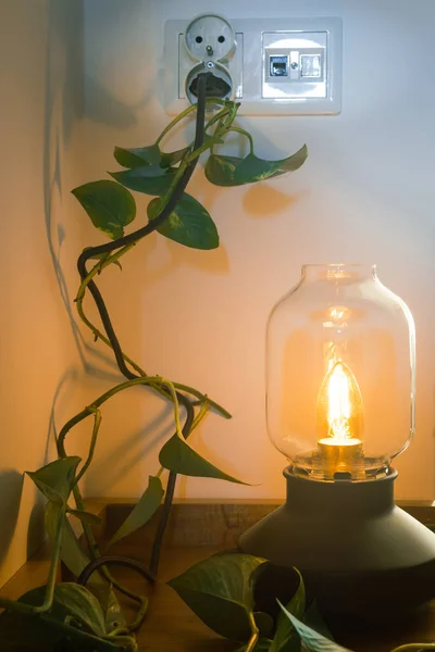 Стильна Лампа Зеленим Листям Виходить Кабелю Підключеного Електрики Сучасна Концепція — стокове фото
