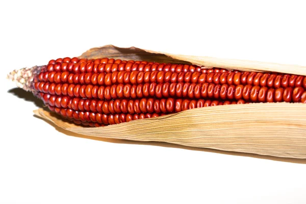 Rode Maïs Een Witte Achtergrond — Stockfoto
