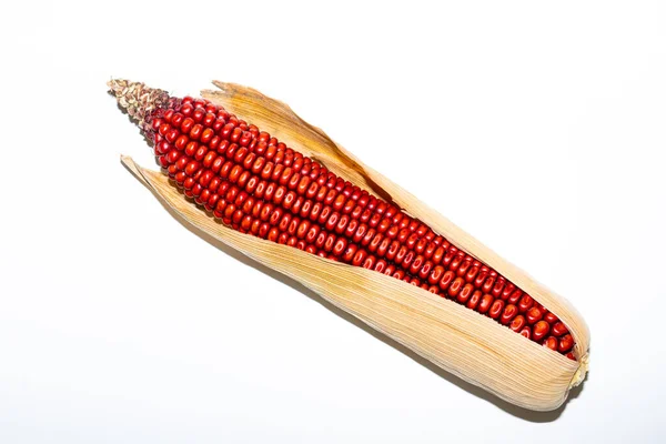 Red Corn White Background — Stock Photo, Image